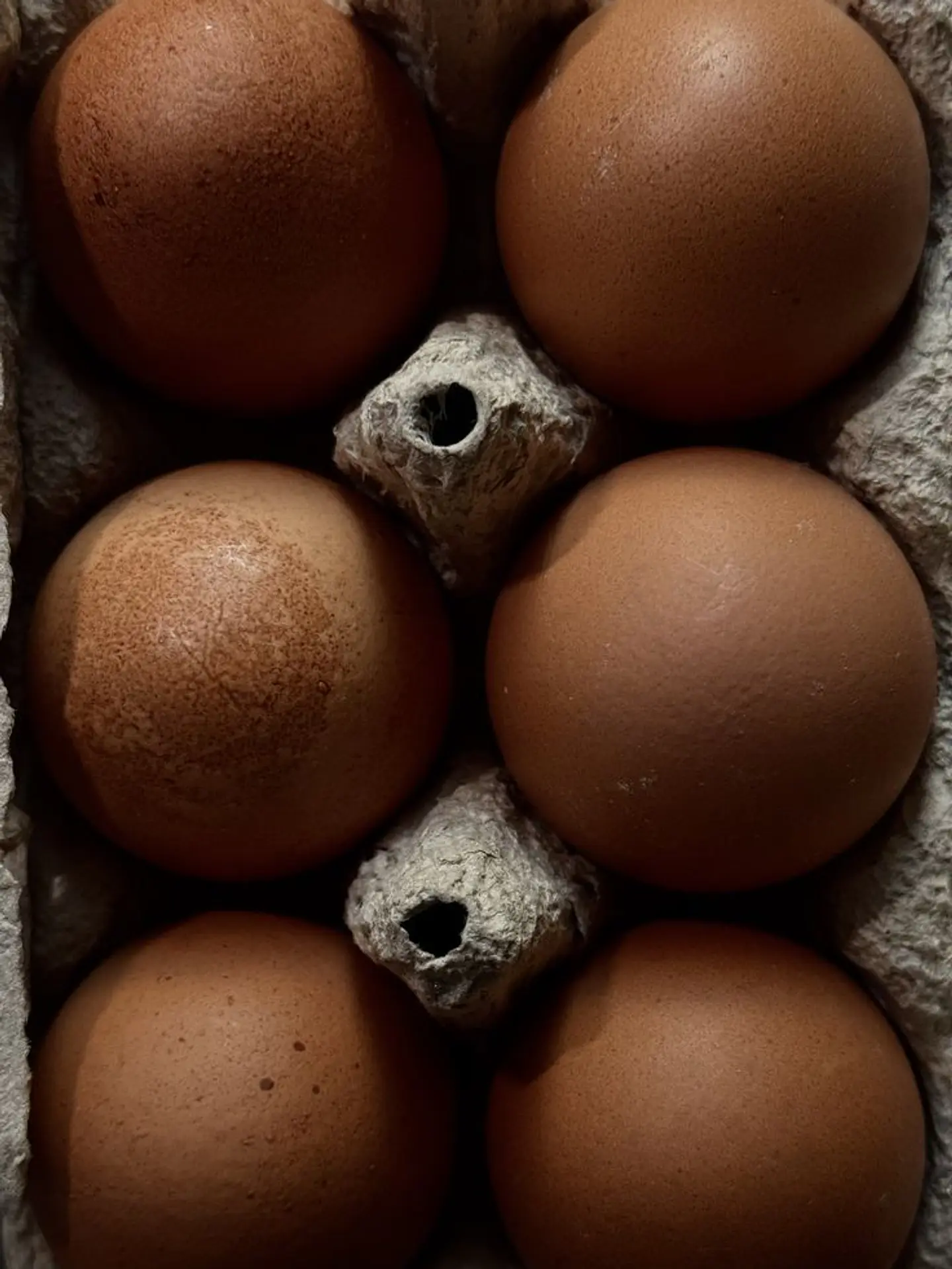 Huevo Color Gallina Libre Jumbo (74 a 84,9 g) Bandeja 20 unidades 1