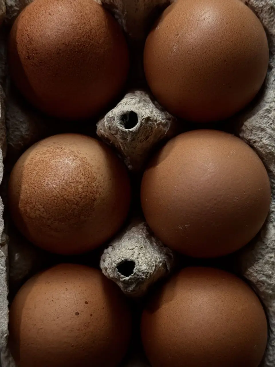 Huevo Color Gallina Libre Jumbo (74 a 84,9 g) Bandeja 20 unidades 1