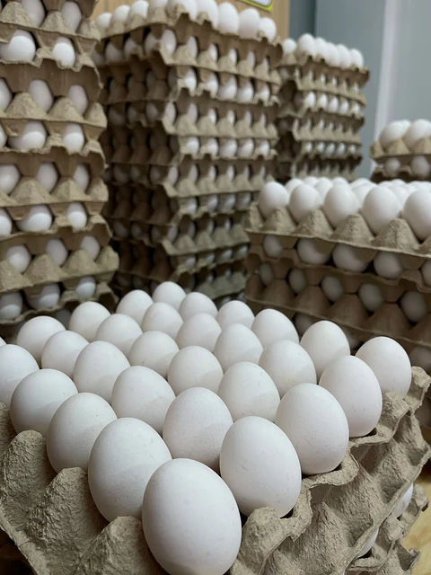 Huevo Super Blanco (68 a 73,9 g) Caja 180 unidades