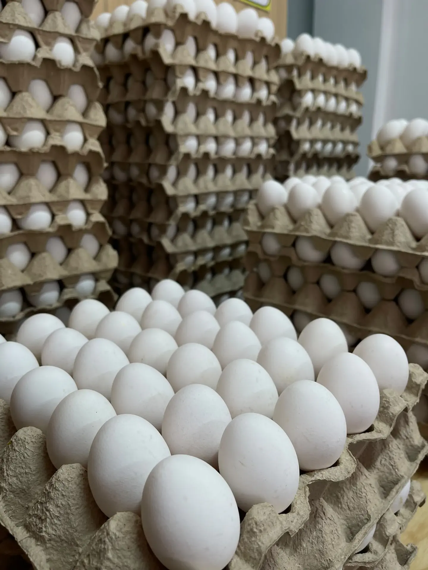 Huevo Super Blanco (68 a 73,9 g) Caja 180 unidades 1