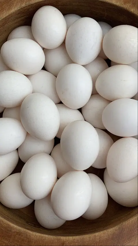 Huevo Super Blanco (68 a 73,9 g) Caja de 100 unidades