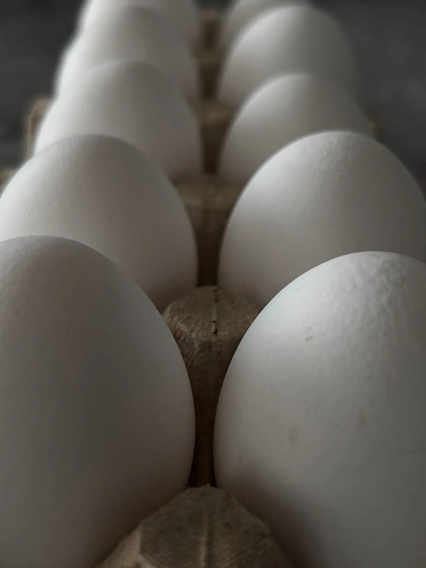 Huevo Extra Blanco (61 a 67,9 g) Bandeja 30 unidades 1