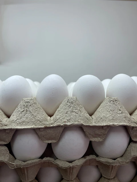 Huevo Primera Blanco (54 a 60,9 g) Bandeja de 30 unidades