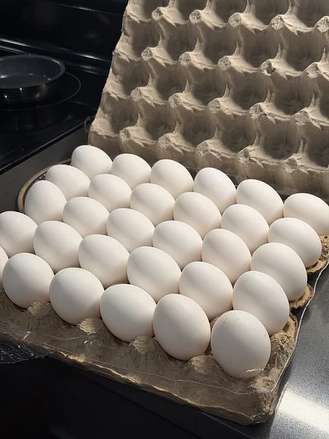 Huevo Primera Blanco (54 a 60,9 g) - Caja de 180 unidades