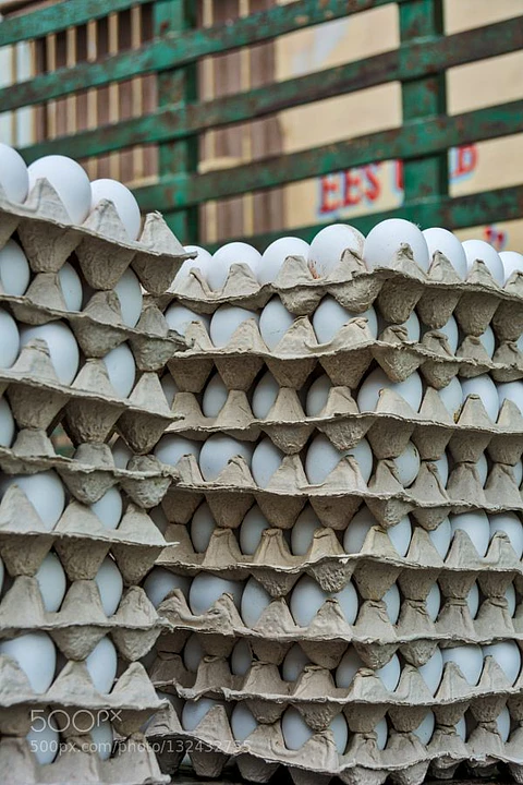 Huevo Extra Blanco (61 a 67,9 g) Caja de 180 unidades