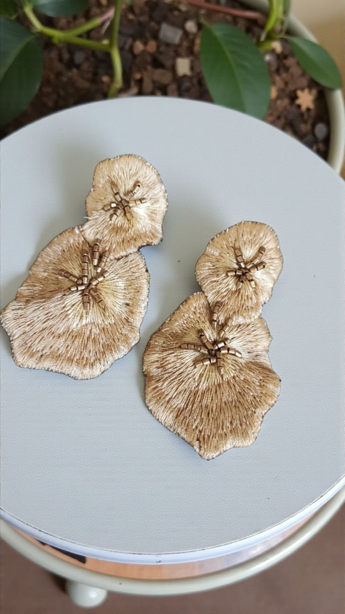 Beige bonita
