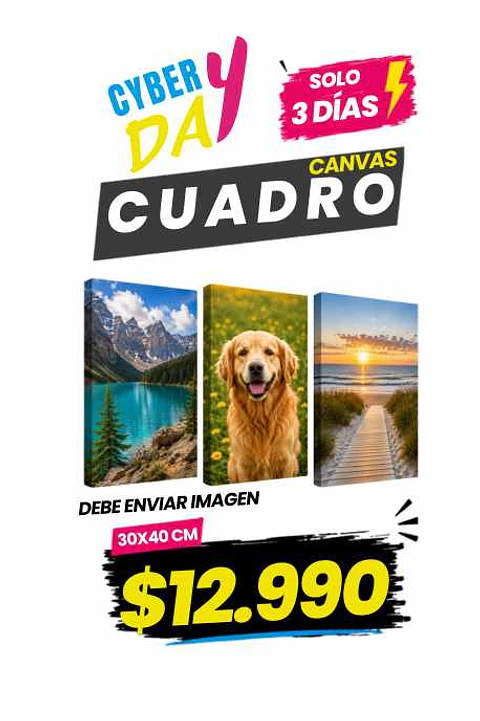 Cuadro Canvas 30 X 40 CM