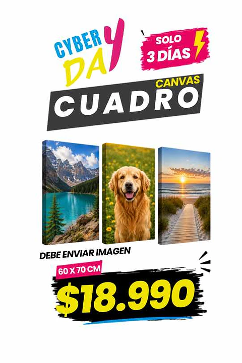 CUADRO CANVAS 60 X 70 CM  