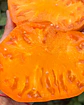 Tomate Hawaiian Pineapple - Miniatura 4