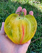 Tomate Taiga - Miniatura 3