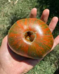 Tomate Chocolate Stripes - Miniatura 2