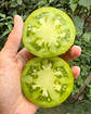 Tomate Flanders Contrast - Miniatura 2