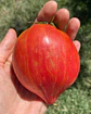 Tomate Crushed Heart - Miniatura 3