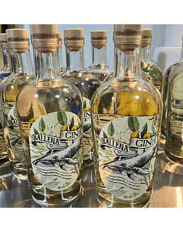 Manada de 6 Ballenas