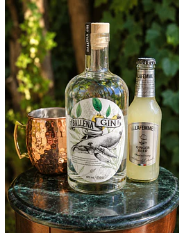 Box London Mule - Ballena Jorobada