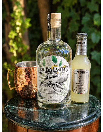 Box London Mule - Ballena Jorobada