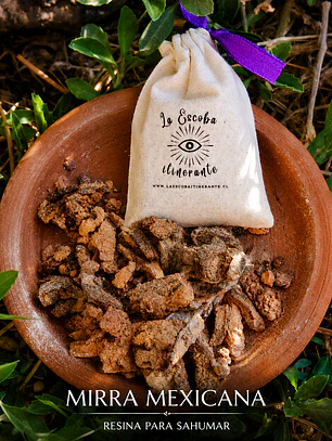Mirra Mexicana (Segunda) 