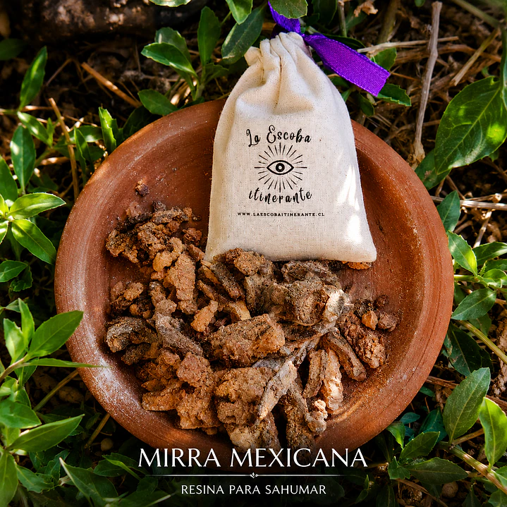 Mirra Mexicana (Segunda)  1