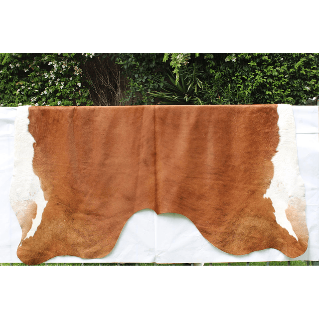 Cuero De Vaca Muy Curtida Curtida En Argentina En Diferentes Colores