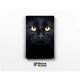 Cuadro Ojos de Gato Negro tamaño 60 x 40