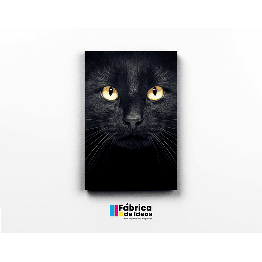 Cuadro Ojos de Gato Negro tamaño 60 x 40