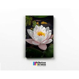 Flor de Loto Tamaño 60 x 40