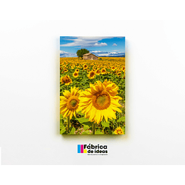 Cuadro Flores Girasoles Tamaño 60 x 40