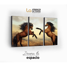 Cuadro Animales Caballos set de 3 piezas