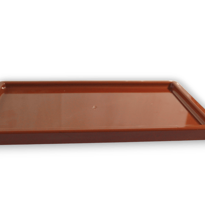 bandeja rectangular 2