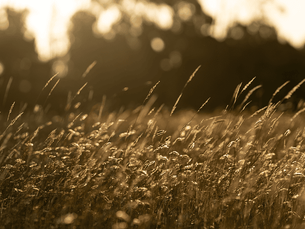 Paisajes Naturales y Urbanos