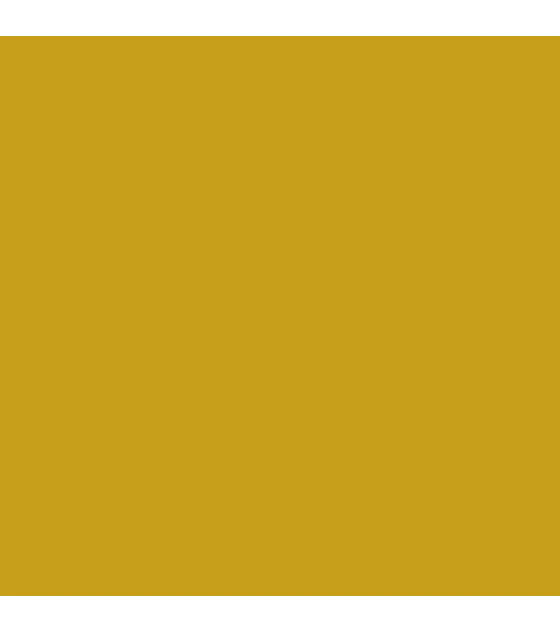 Game Color Dorado Pulido