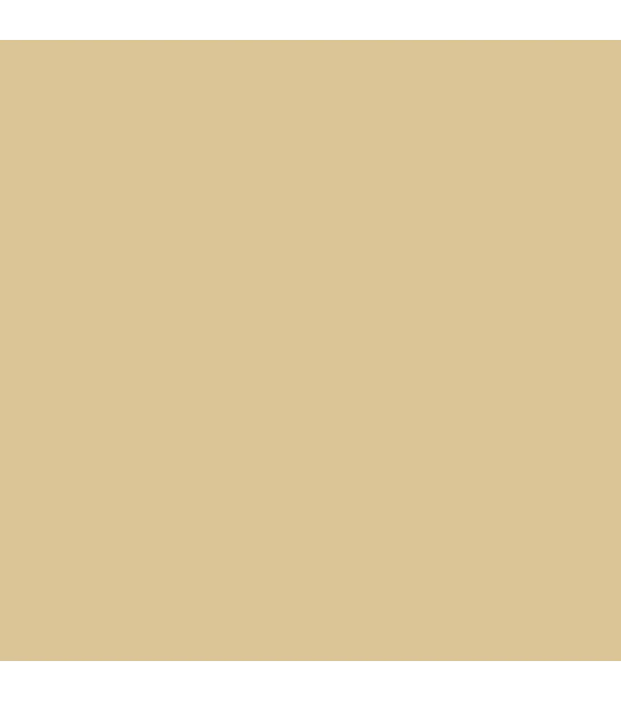 Surface Primer Arena Desierto (Desert Tan)