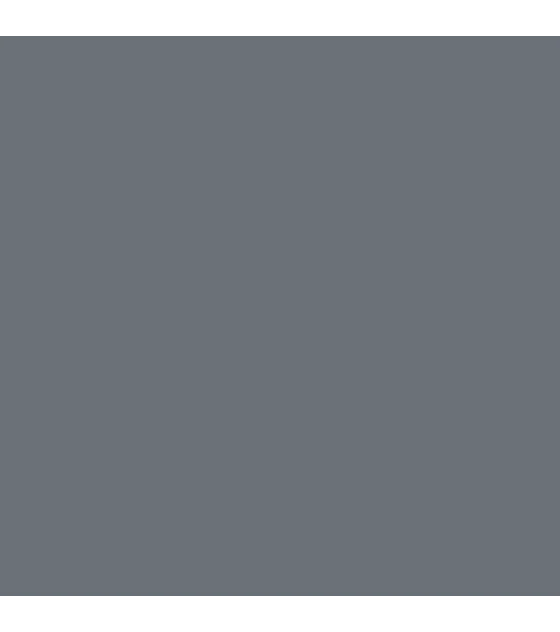 Model Color Gris Neutral