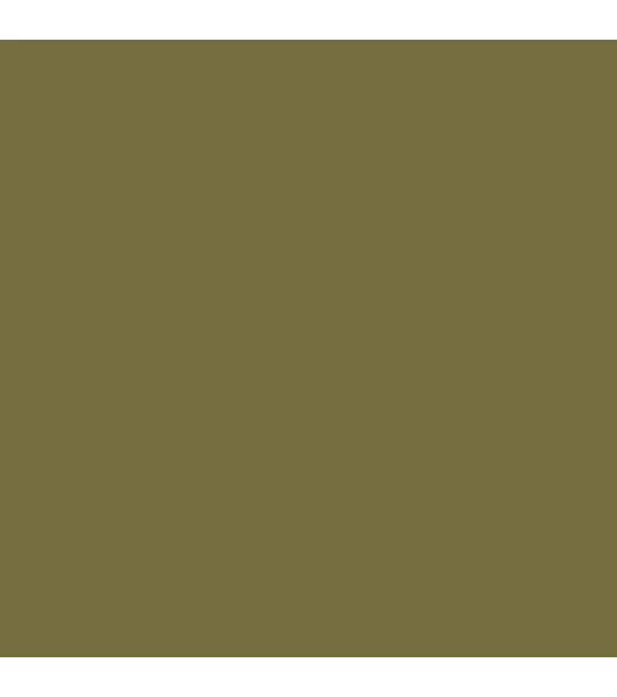Model Color Verde Militar