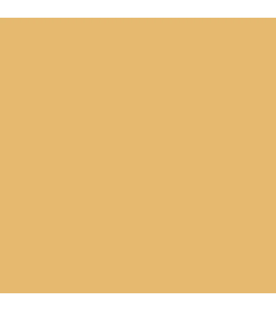 Model Color Amarillo Arena