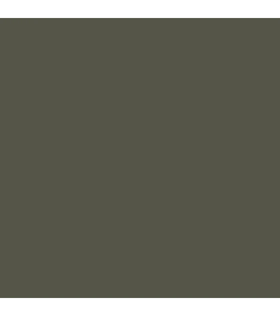 Model Color Gris Oliva