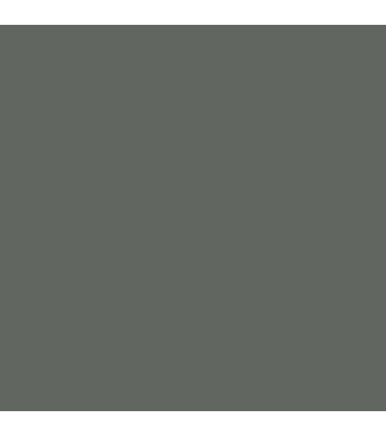Model Color Gris Metalizado