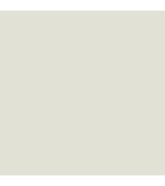 Model Color Gris Plateado