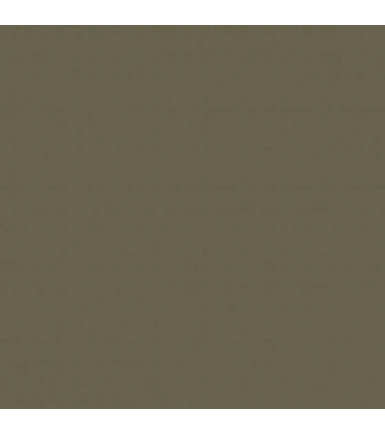 Model Color Uniforme Ruso WWII