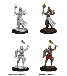 Figura D&D Human Female Cleric