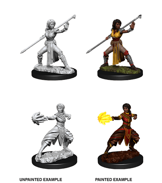 Figura D&D Female Half-Elf Monk