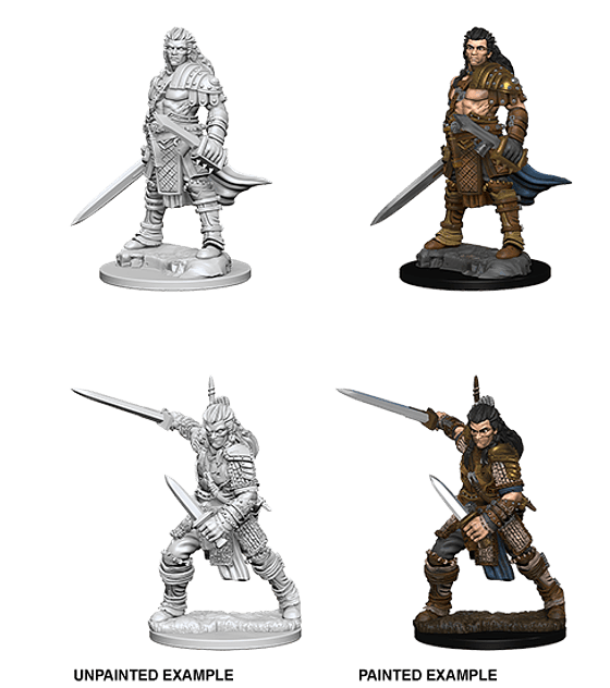 Figura D&D Human Male Fighter