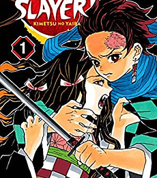 Demon Slayer - Kimetsu no Yaiba N.1 