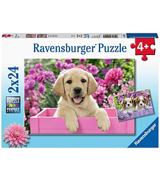 Puzzle 2x24 Cachorro - Ravensburger
