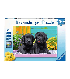 Puzzle 300 XXLPcs - Vida de perritos