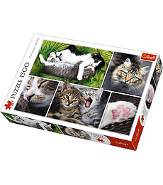 Puzzle Trefl 1500 Pcs - Just Cat Things - Collage
