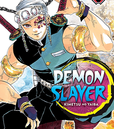 Demon Slayer - Kimetsu no Yaiba N.9