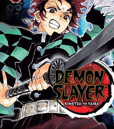 Demon Slayer - Kimetsu no Yaiba N.10
