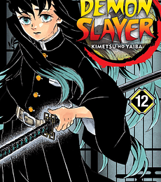 Demon Slayer - Kimetsu no Yaiba N.12