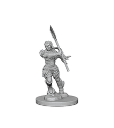 Figura D&D Half Orc Female Barbarian